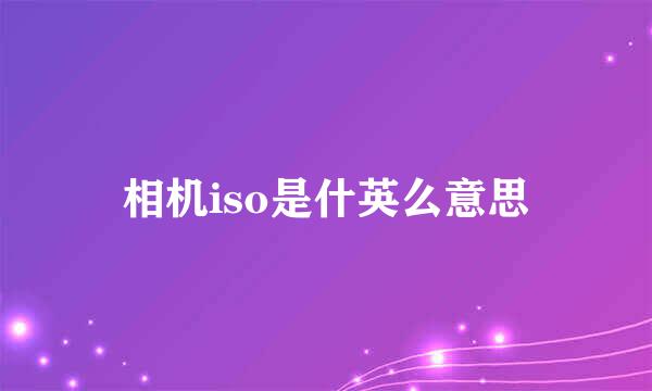 相机iso是什英么意思