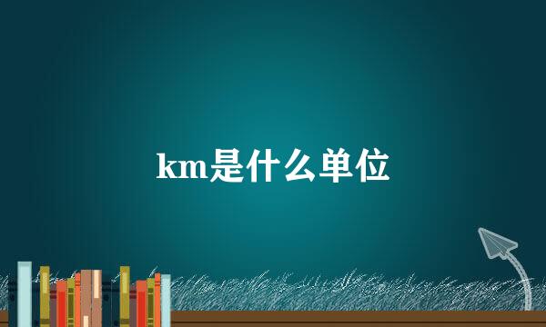 km是什么单位