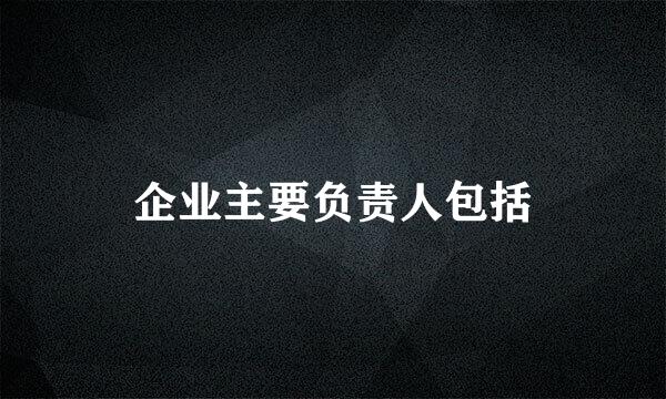 企业主要负责人包括