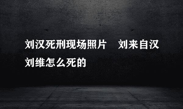 刘汉死刑现场照片 刘来自汉刘维怎么死的