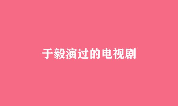 于毅演过的电视剧