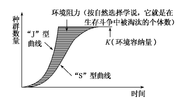 什么是物来自理模型？