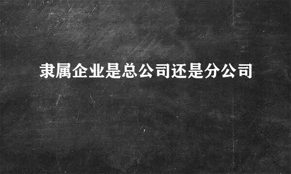 隶属企业是总公司还是分公司