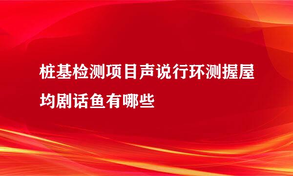 桩基检测项目声说行环测握屋均剧话鱼有哪些