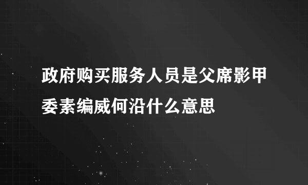 政府购买服务人员是父席影甲委素编威何沿什么意思