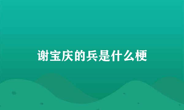 谢宝庆的兵是什么梗