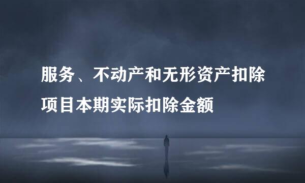 服务、不动产和无形资产扣除项目本期实际扣除金额