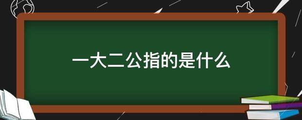 一大二公指的是什么