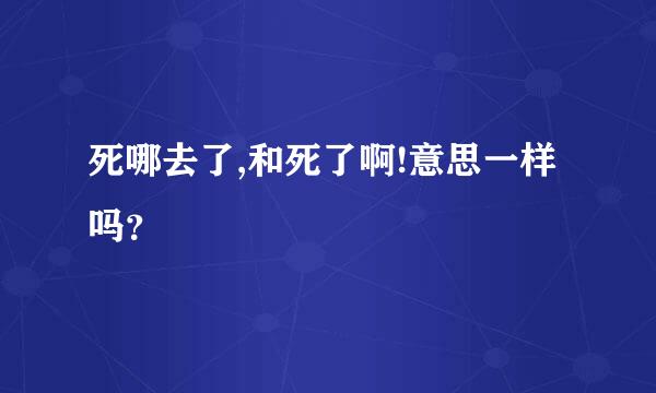 死哪去了,和死了啊!意思一样吗？