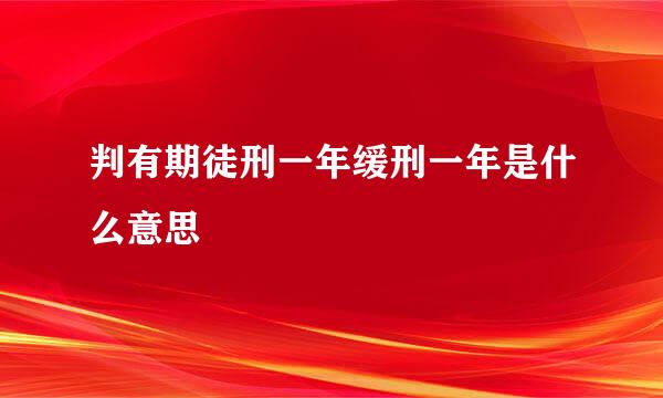 判有期徒刑一年缓刑一年是什么意思