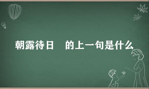 朝露待日晞的上一句是什么