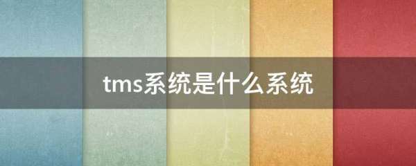 tms系统是什么系统