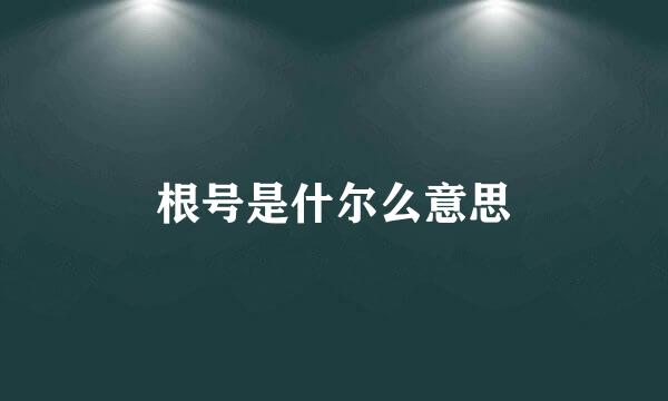 根号是什尔么意思