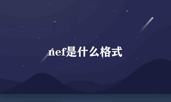 nef是什么格式