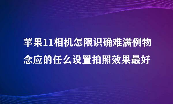 苹果11相机怎限识确难满例物念应的任么设置拍照效果最好