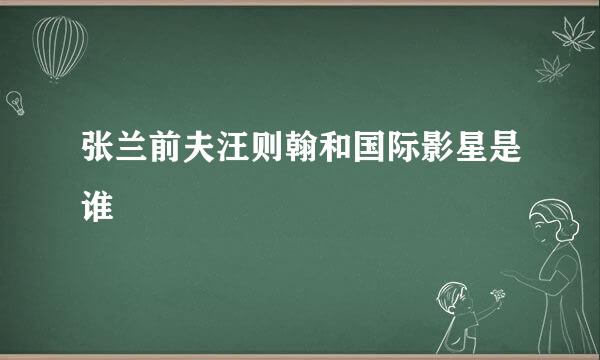 张兰前夫汪则翰和国际影星是谁