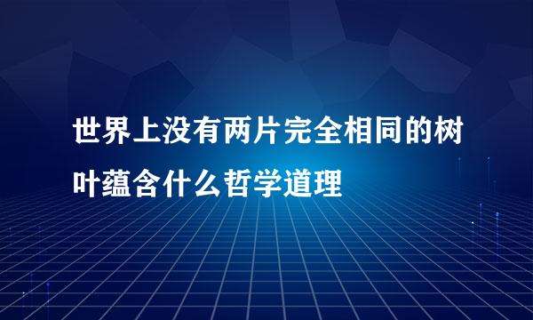 世界上没有两片完全相同的树叶蕴含什么哲学道理