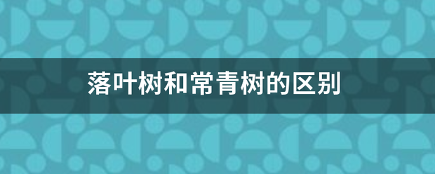 落叶树和常青树的区别