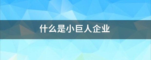 什么是小巨人企业