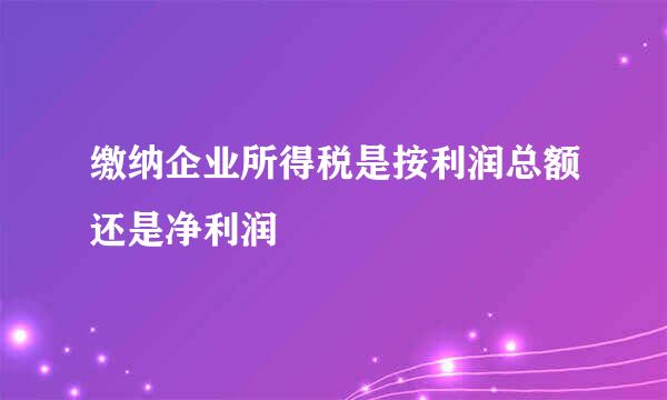 缴纳企业所得税是按利润总额还是净利润