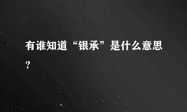 有谁知道“银承”是什么意思？