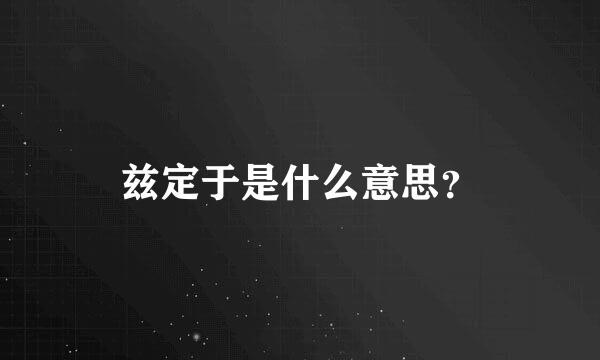 兹定于是什么意思？