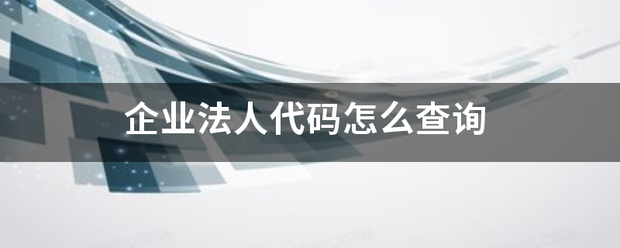 企业法人代码怎么查询