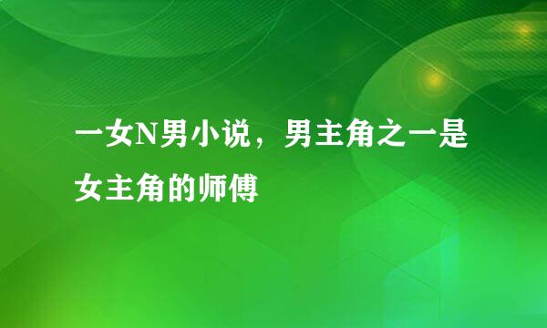 一女N男小说，男主角之一是女主角的师傅