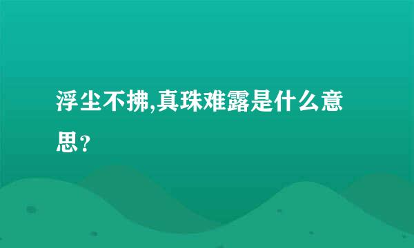 浮尘不拂,真珠难露是什么意思？