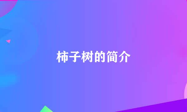 柿子树的简介