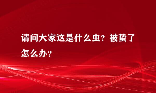 请问大家这是什么虫？被蛰了怎么办？