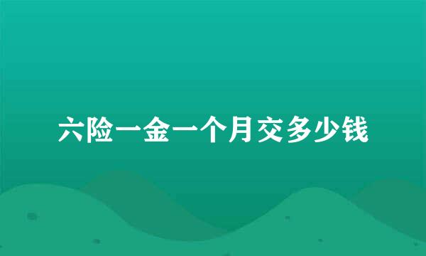 六险一金一个月交多少钱