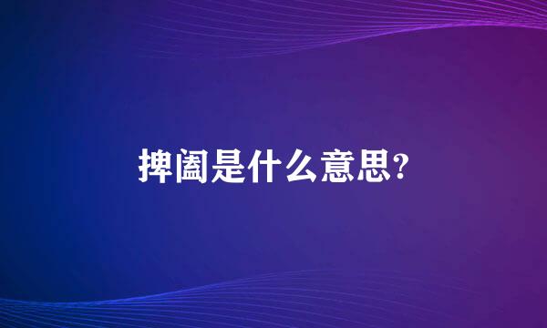 捭阖是什么意思?