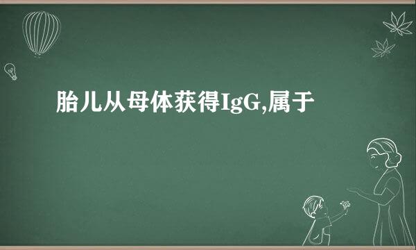 胎儿从母体获得IgG,属于