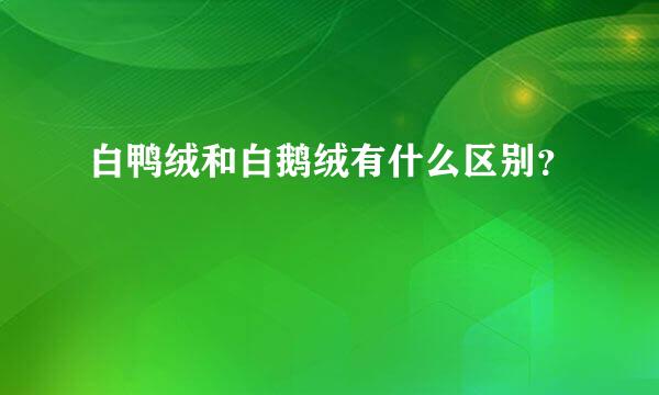 白鸭绒和白鹅绒有什么区别？