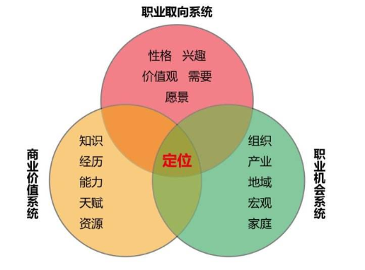 职业选择的具型船体决策步骤包括哪些