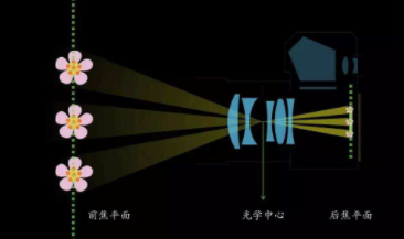 摄来自影上的焦平面到底是个什么啊?