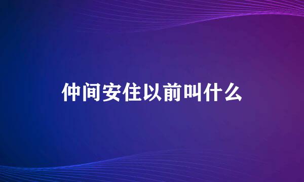 仲间安住以前叫什么