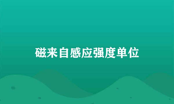 磁来自感应强度单位