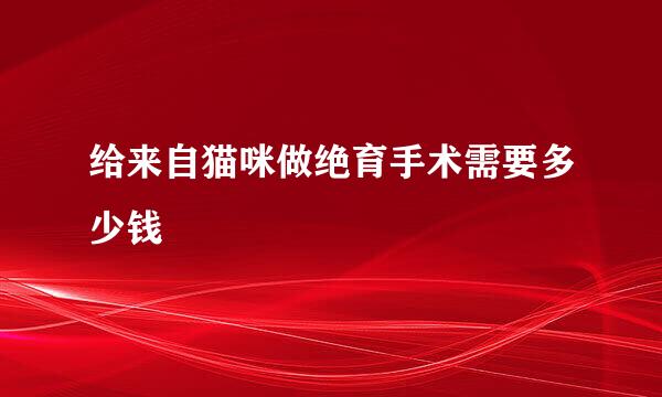 给来自猫咪做绝育手术需要多少钱