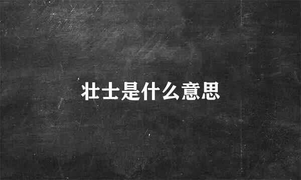 壮士是什么意思