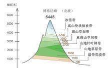 天山自然带垂直带谱