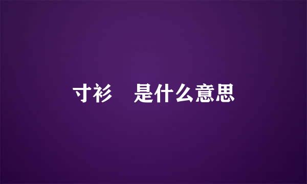 寸衫 是什么意思