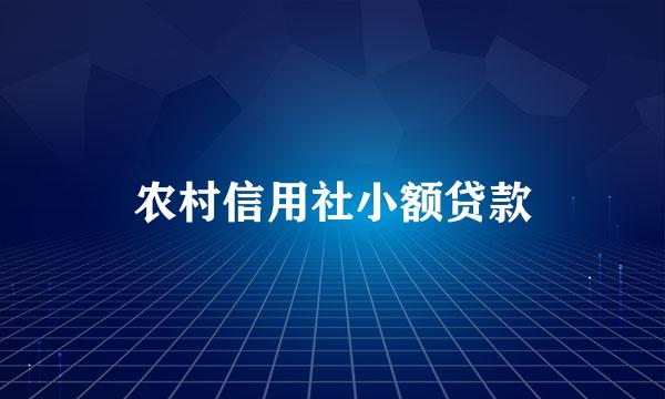 农村信用社小额贷款