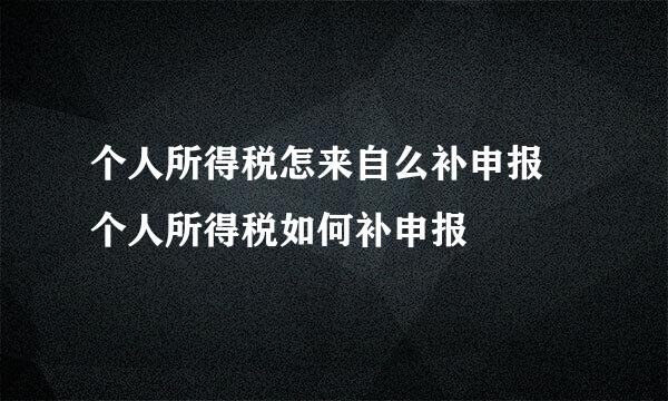 个人所得税怎来自么补申报 个人所得税如何补申报