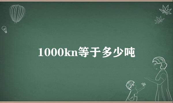 1000kn等于多少吨