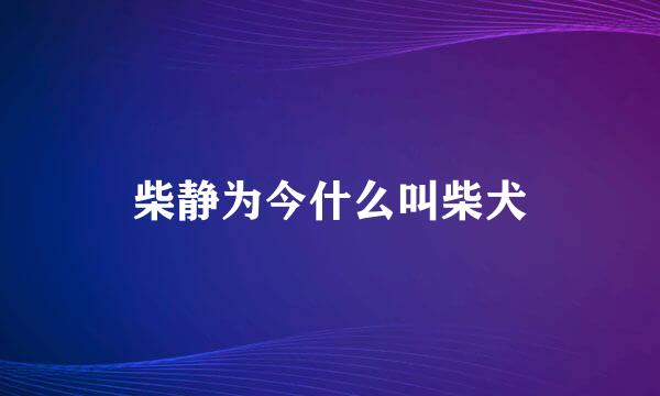 柴静为今什么叫柴犬