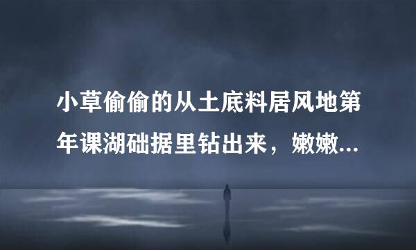 小草偷偷的从土底料居风地第年课湖础据里钻出来，嫩嫩的，绿绿的。园子里，田野里，瞧去，一大片一大片满是的，坐着，躺着，打两个滚...