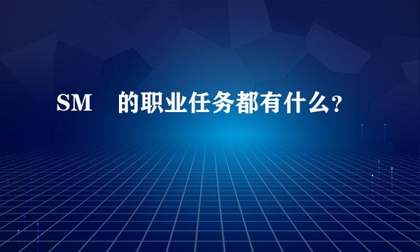 SM 的职业任务都有什么？