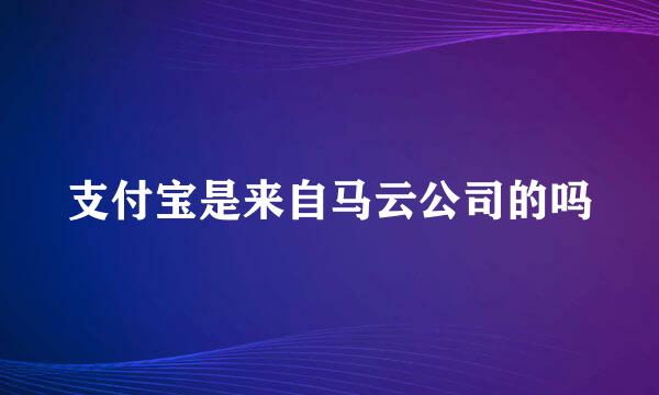 支付宝是来自马云公司的吗